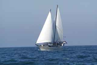 Cruising the Sea of Cortez