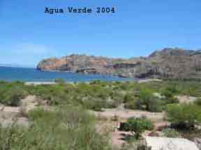Auga Verde